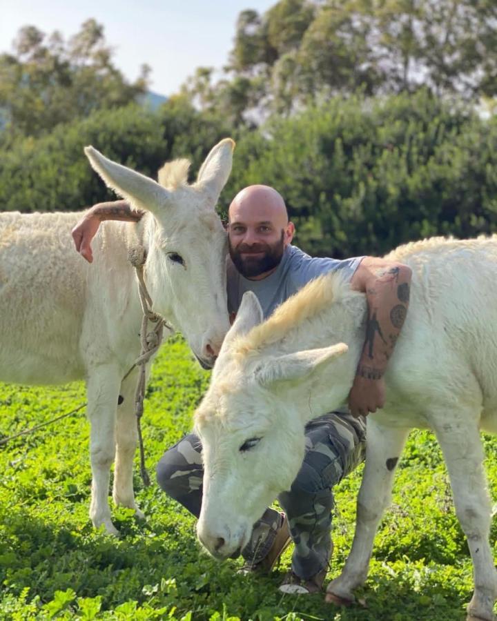 Agriturismo Casa Marmida Pardu Atzei Eksteriør bilde