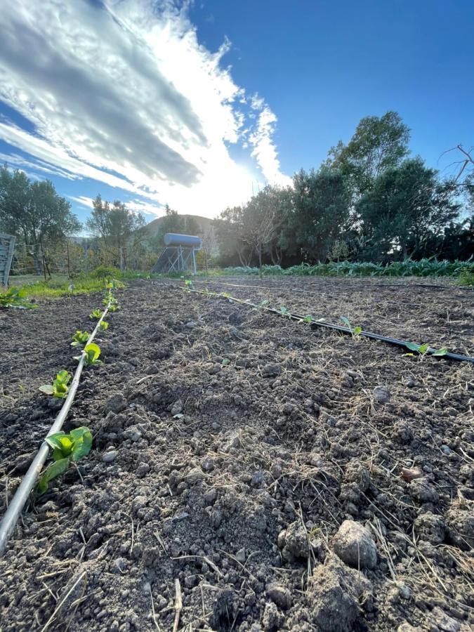 Agriturismo Casa Marmida Pardu Atzei Eksteriør bilde